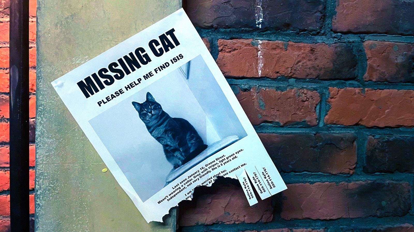 Fictional poster designed for Batman Escape experience (Zompa Design, 2022)